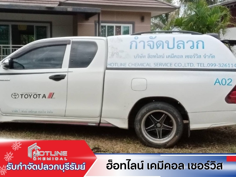 กำจัดปลวกรวดเร็ว