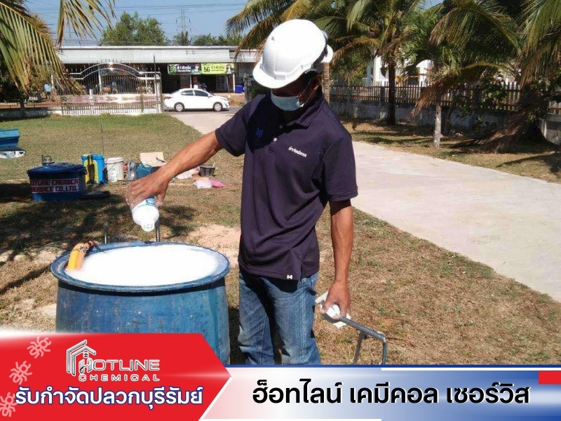 กำจัดปลวกโดยช่างมืออาชีพ