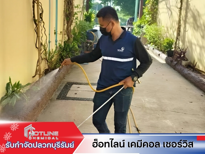 ฉีดน้ำยากำจัดปลวกบุรีรัมย์