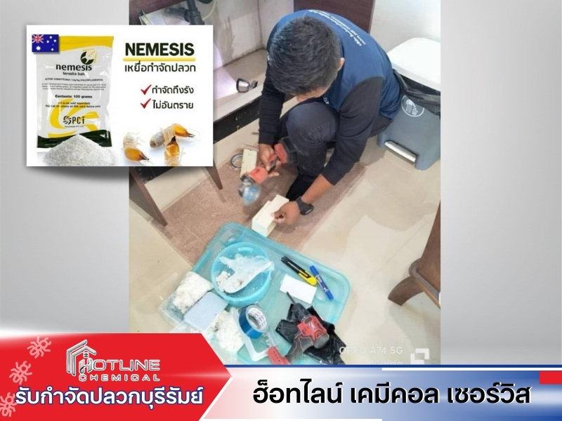 ผลิตภัณฑ์กำจัดปลวกบุรีรัมย์
