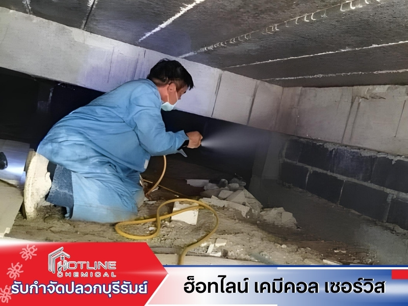 รับกำจัดปลวกราคาถูก