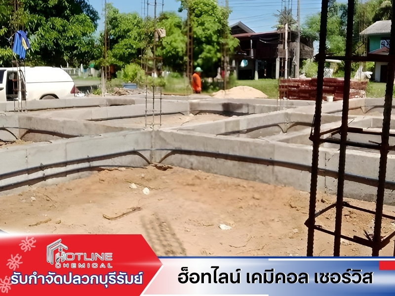 รับเหมาวางระบบกำจัดปลวก