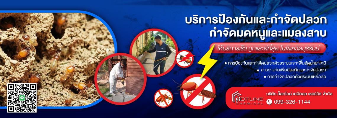รับกำจัดปลวกบุรีรัมย์ ฮ็อทไลน์ เคมีคอล เซอร์วิส
