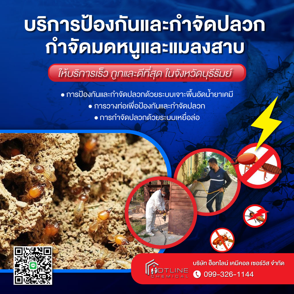 รับกำจัดปลวกบุรีรัมย์ ฮ็อทไลน์ เคมีคอล เซอร์วิส_0